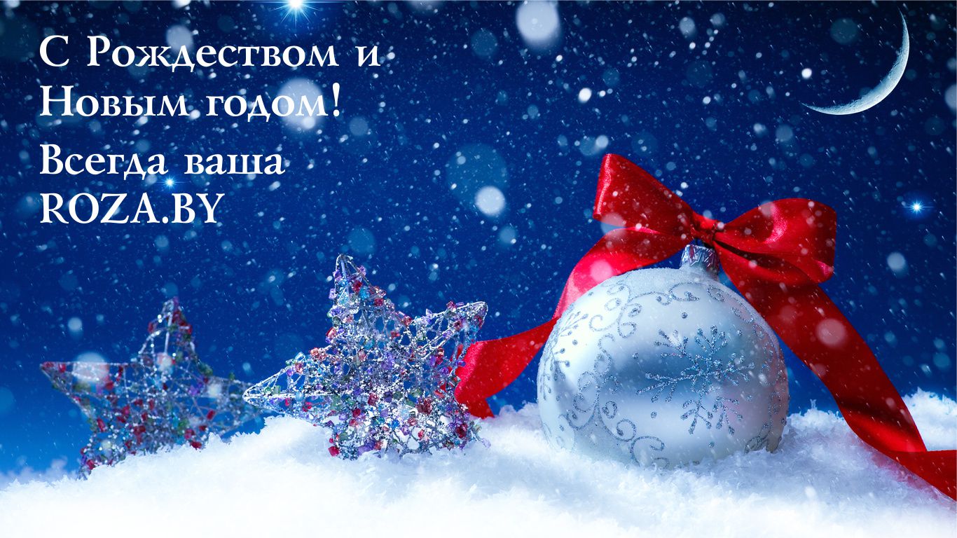 ROZA.BY поздравляет с Новым годом и рождеством